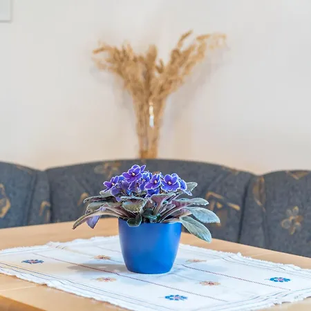 Weingartnerhof Dalia Apartamento San Genesio Atesino